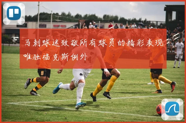 马刺球迷致敬所有球员的精彩表现唯独福克斯例外