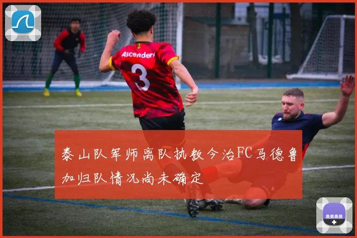 泰山队军师离队执教今治FC马德鲁加归队情况尚未确定